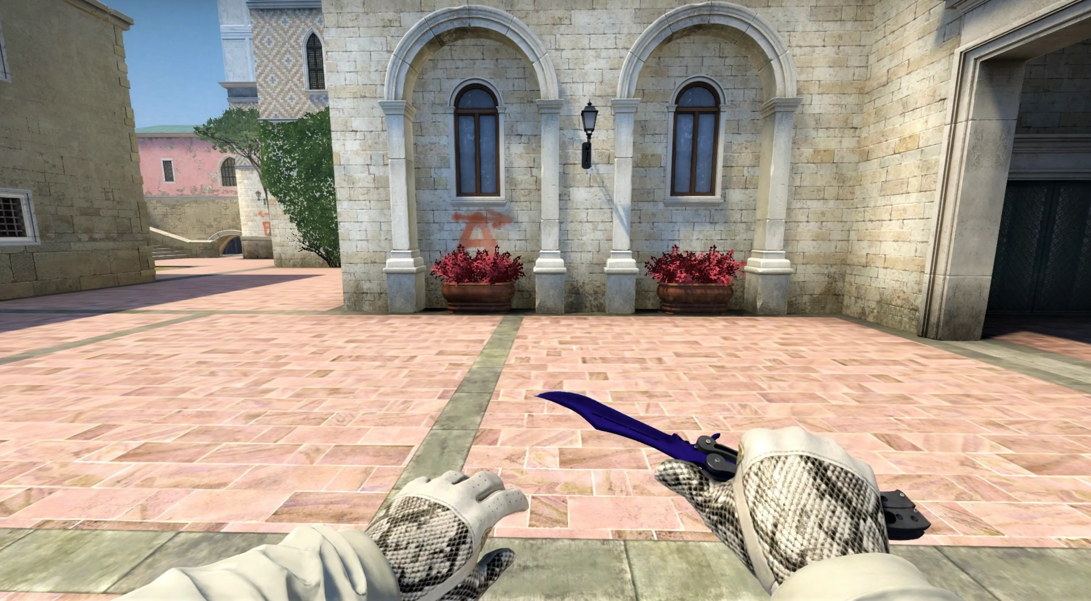 Driver Gloves King Snake and lore knife